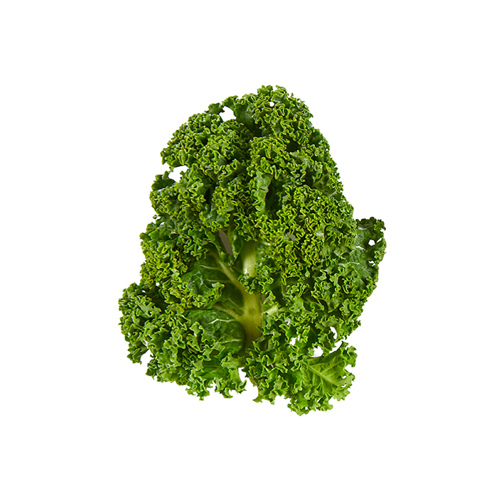 Kapusta