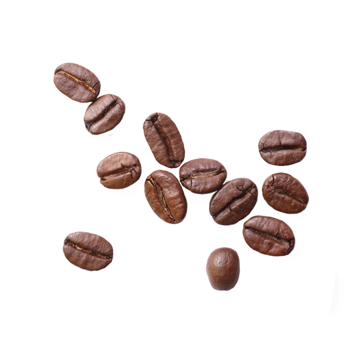 Kávovník arabský