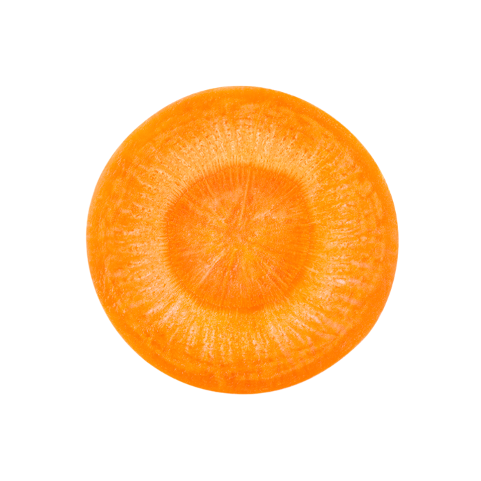 Common carrot