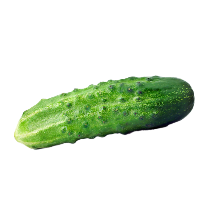Okurka setá