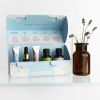 Havlíkova apotéka Discovery Box Citlivá ultimátní rutina